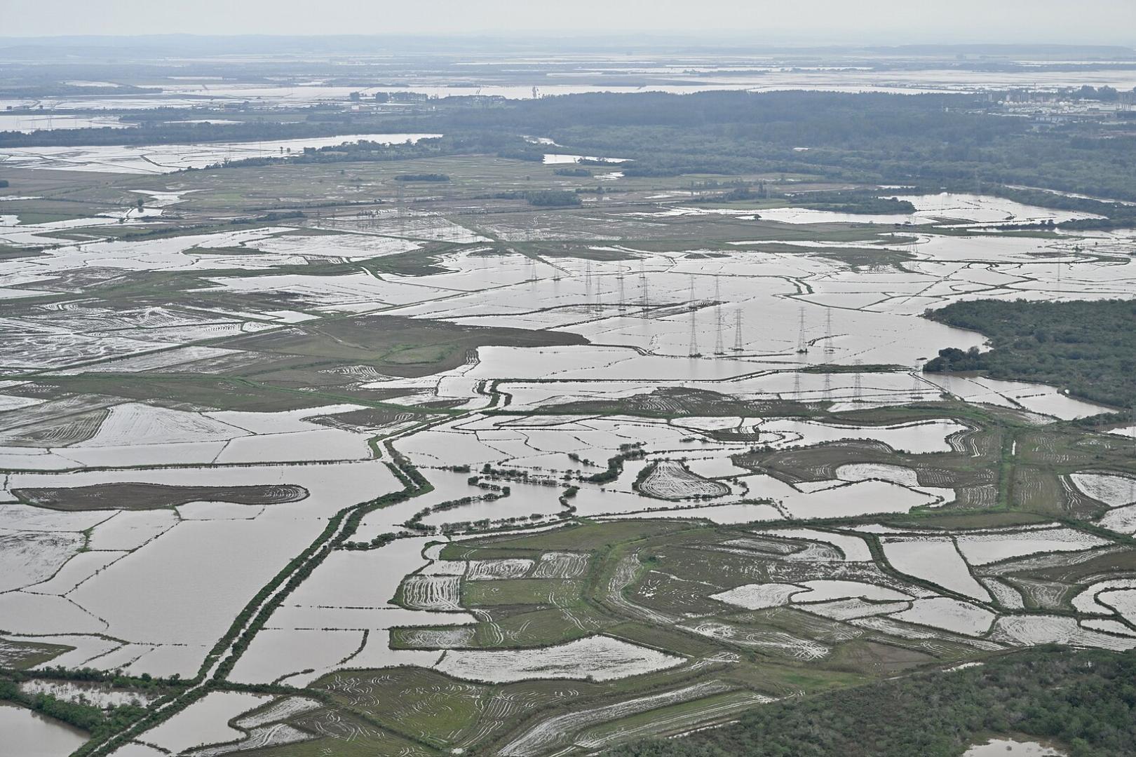 Os impactos da tragédia no Rio Grande do Sul sobre a produção e os preços dos alimentos