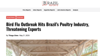 Bird Flu Outbreak Hits Brazil’s Poultry Industry, Threatening Exports