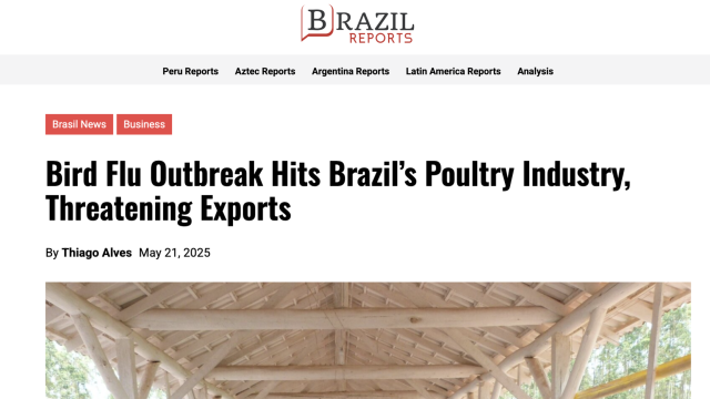 Bird Flu Outbreak Hits Brazil’s Poultry Industry, Threatening Exports