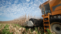 ESPECIAL: O Futuro do Comércio Global do Agronegócio e a Inserção do Brasil