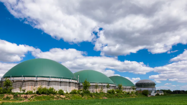 Agro é chave para salto tecnológico na transição energética